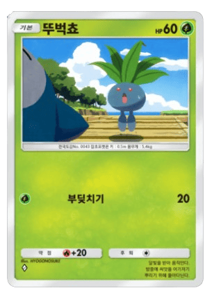 뚜벅쵸